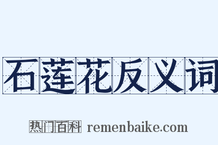 石莲花反义词是什么意思的图片